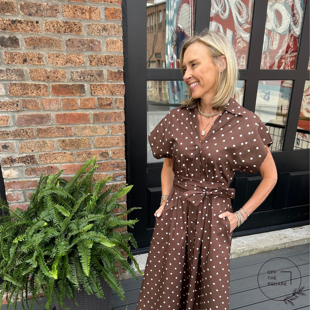 Sofia Brown Polka-Dot Belted Dress
