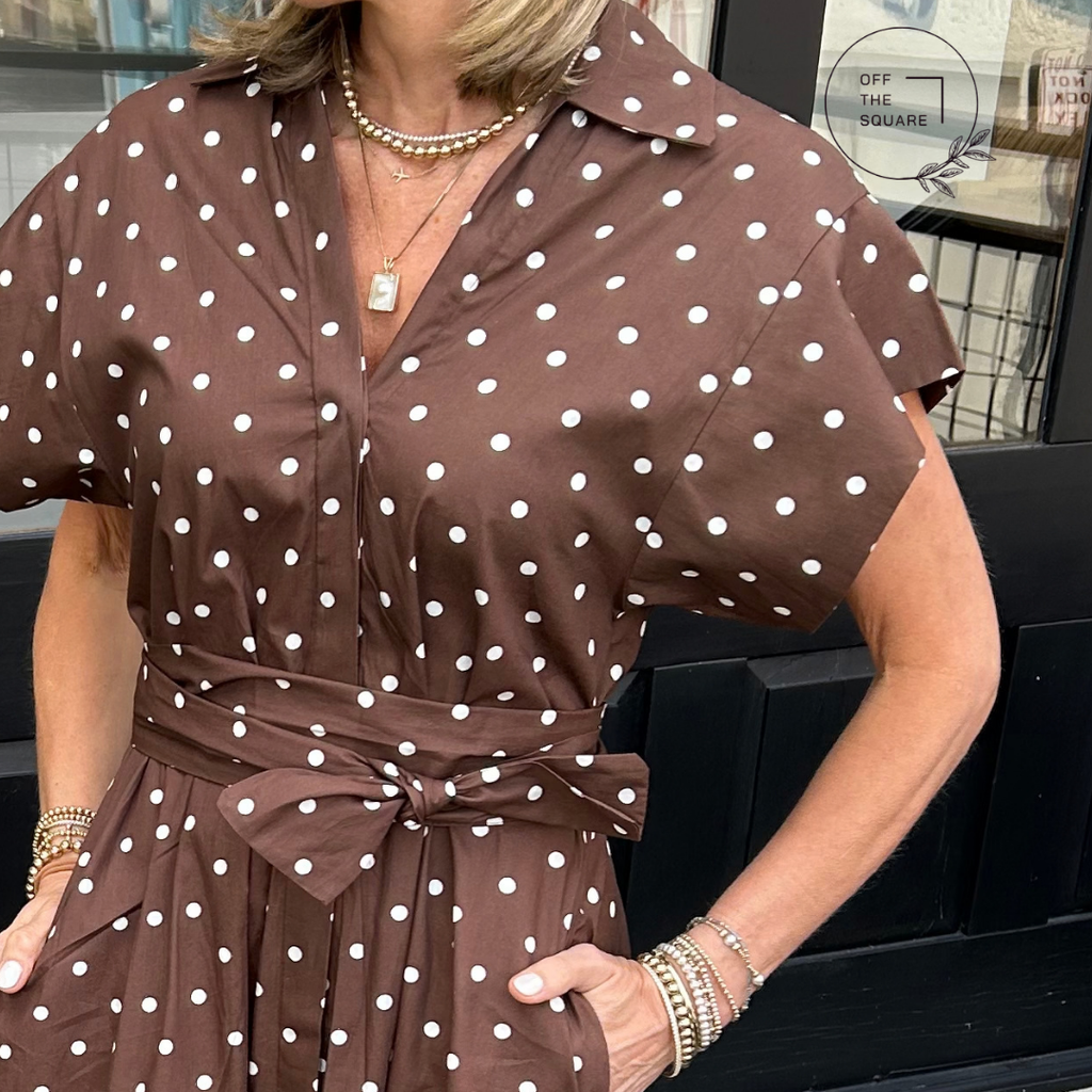 Sofia Brown Polka-Dot Belted Dress