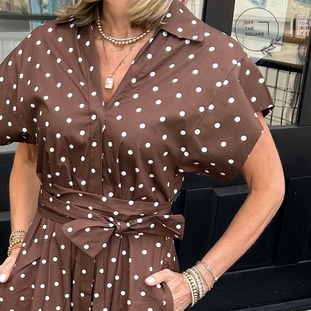 Sofia Brown Polka-Dot Belted Dress