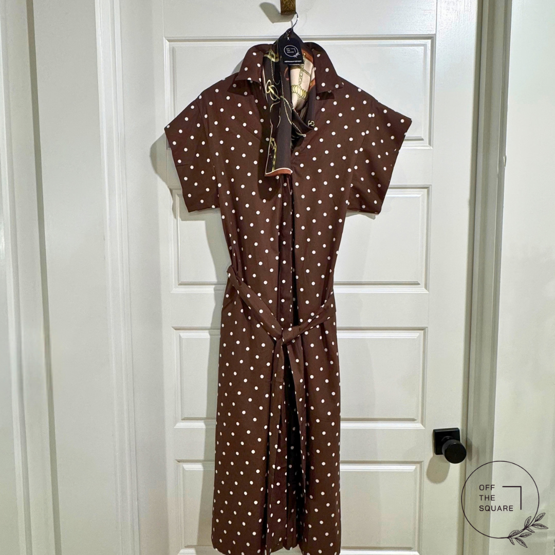 Sofia Brown Polka-Dot Belted Dress